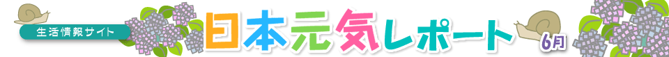 �������T�C�g ���{���C���|�[�g